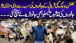 Clifton Cattle Market 2024  Clifton Maweshi Mandi  Cattle Mandi  Cattle Farm  Cow Mandi [upl. by Anival]