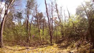 Randonnée en VTT in the forêt  seconde partie [upl. by Harraf282]