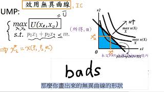 個體經濟E0071 新版好貨quotgoodsquot的無異曲線凸向原點Marshallian demand與Hicksian demand的不同 [upl. by Aisetal]