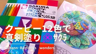 クーピー12色で真剣塗り！大人の塗り絵 ｻｸﾗクーピー12色 httpsamznto41yisTY wonders [upl. by Dez]