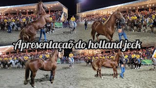 APRESENTAÇÃO DO HOLLAND JECK NO PARQUE MILLANY [upl. by Canice]