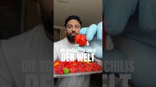 DIE SCHÄRFSTEN CHILIS 🌶️ rezept food [upl. by Hepsibah]