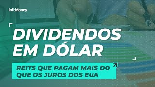 Dividendos em dólar  REITs que pagam mais dividendos do que os juros nos EUA [upl. by Eilyab431]