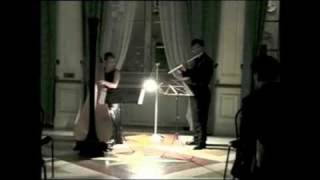 DopplerZamara Casilda Fantasy Harp  Flute PART 1 [upl. by Elpmid]