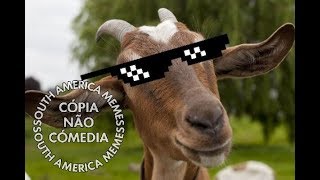 MÚSICAS COM CABRAS GRITANDO SAM  SOUTH AMERICA MEMES [upl. by Narat]