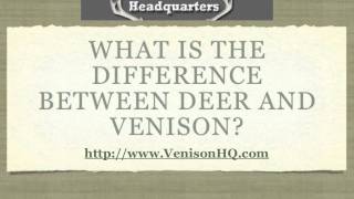 What is the Difference Between Deer and Venison  Venison FAQ [upl. by Nurse]