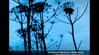 Carbon Based Lifeforms  Hydroponic Garden Full Reissued Album [upl. by Austreng161]