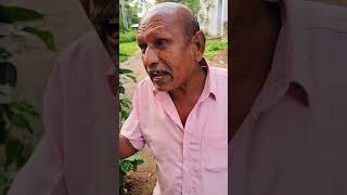 பஜ்ஜி கடை ஆரம்பிச்சும் பிரயோஜனம் இல்ல comedy panamatta funny reels funnyshorts [upl. by Annovy]