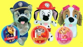 Bebes paw patrol español y juguetes patrulla caninaChase y SkyeVideo educativo para niños [upl. by Nniuq94]