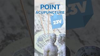 POINT D’ACUPUNCTURE  23V  Shen Shu acupuncture acupuncturepoints medecinechinoise [upl. by Iniffit15]