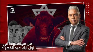 هل سيفعلوها في أول أيام عيد الفطر ؟ القصة الكاملة للبقرات الحمراء واقتحام المسجد الاقصى [upl. by Randie]