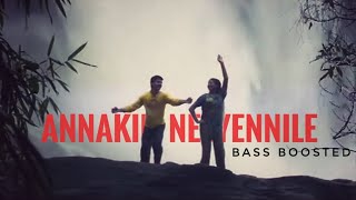 Annakili Neeyennille  Malayalam  Bass Boosted  BASS AUDIO MALAYALAM [upl. by Ynahteb]