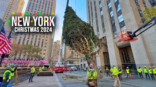 Installation Of NYC Rockefeller Center Christmas Tree 2024 ✨ New York City Christmas 2024 🌲 [upl. by Ruvolo924]