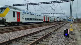 SNCB 1826 with IC train from Luxembourg to Brussels passing through Kleinbettingen [upl. by Eirallih]