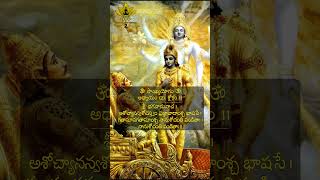 Bhagavad Geetha Shloka  2 Bhagavad Gita [upl. by Arne]