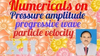 Numericals on pressure amplitude particle velocity and progressive waves XII  physics rnt [upl. by Nata]