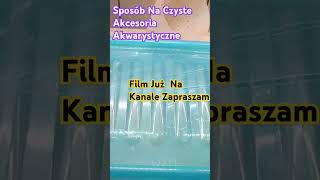 Sposób Na Czyste Akcesoria Akwarystyczne AquariumCleaning CleanAquarium Aquascaping AquariumSet [upl. by Paget]