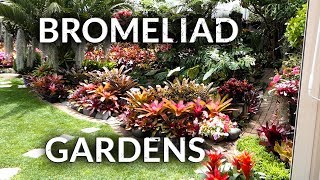 BROMELIAD GARDENS [upl. by Adriana269]