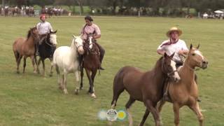 Jineteada 57° FIESTA PROVINCIAL DE LAS LLANURAS [upl. by Asiil867]