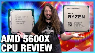 5900X Vs 5950X  Which should you choose [upl. by Mosera]