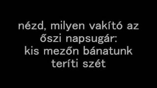 Hatóságilag Tilos  Búcsú dalszöveggel  lyrics HDHQ [upl. by Jaf]