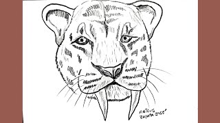 Como desenhar um tigre dentedesabre [upl. by Enrica]