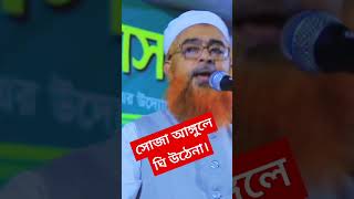 সোজা আঙ্গুলে ঘি উঠেনাআল্লামা খুরশীদ আলম কাসেমীKhurshid Alom kasemibanglawaaz banglawaz [upl. by Devol541]