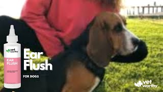 Vet Worthy Ear Flush for Dogs [upl. by Oaks]