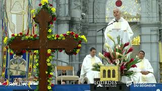 Homélie de la messe de titularisation du Pèlerinage du Rosaire 2024  3 octobre 2024 [upl. by Helve235]