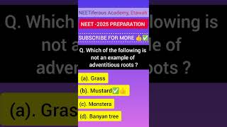 MCQ For NEET 2025 Preparation quickrevision neetaspirants ncertmcq neetiferousacademy etawah [upl. by Ludovico]