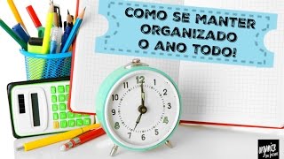 COMO SE MANTER ORGANIZADO O ANO TODO  Organize sem Frescuras [upl. by Amada]