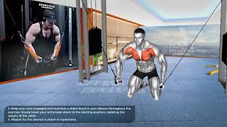 5 Best Exercise quotLOWER CHESTquot Workout [upl. by Fabiolas]