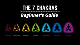 7 Chakras explained Beginners guide 101 [upl. by Groves414]