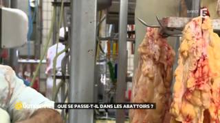 Animaux malades  de plus en plus dabattoirs ne respectent pas la législation [upl. by Ailadi]