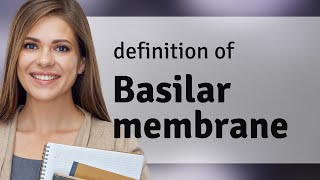 Basilar membrane • meaning of BASILAR MEMBRANE [upl. by Lledal]