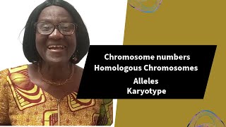 Chromosome Numbers Homologous Chromosomes Alleles [upl. by Andrien]