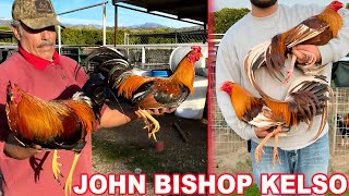 John Bishop Kelso Pumpkin Farm California [upl. by Arotak679]