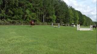 Warm Up WHA 201112 Hunter Jumper Series Walk Trot Canter Cross Rails Class [upl. by Weldon654]