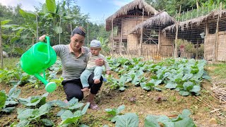 Harvest eggplants to sell and take care of the vegetable garden with my son  my daily life [upl. by Hobard]