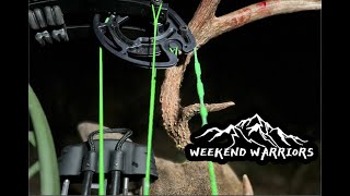 Afflictor Broadhead vs deer shoulder  Bowhunting Texas Bucks [upl. by Ainivad]