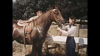 The Cisco Kid  Quarter Horse Full Length Episode Classic Western TV show [upl. by Allebram496]