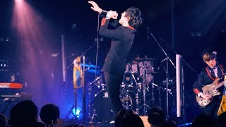 Official髭男dism  「犬かキャットかで死ぬまで喧嘩しよう！」「異端なスター」（Official Live Video） [upl. by Leanatan]