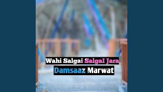 Wahi Salgai SalgaI Jara [upl. by Huskey]