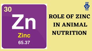 Role of Zinc In Animal Nutrition [upl. by Artair374]