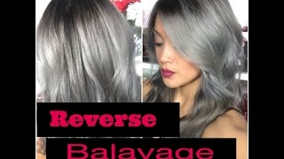 Reverse Balayage Tutorial [upl. by Annua]