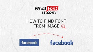 Font Finder Guide Quickly Identify Fonts from Any Image [upl. by Ttessil]