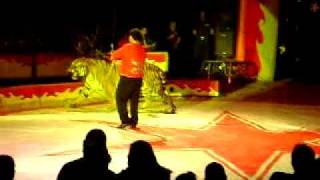 circo atayde hermanos en tepic nay domador de tigres de vengala [upl. by Mode]