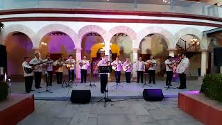 Cerquita de ti Luis Padilla  Rondalla Magisterial de Tamaulipas [upl. by Olympe]