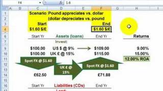 Foreign Exchange On balance sheet hedge [upl. by Nhguaved]