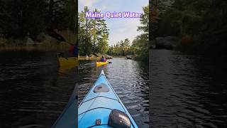 Quiet Water Kayaking on Hopkins Steam kayaking [upl. by Annod846]